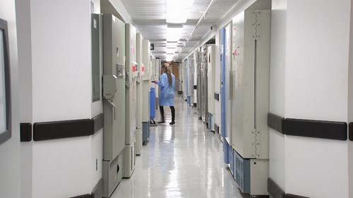 A nurse stands in a hospital corridor